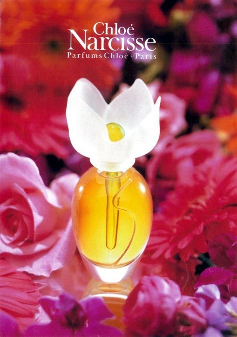 chloe narcisse angebote|Chloé Narcisse Chloé perfume .